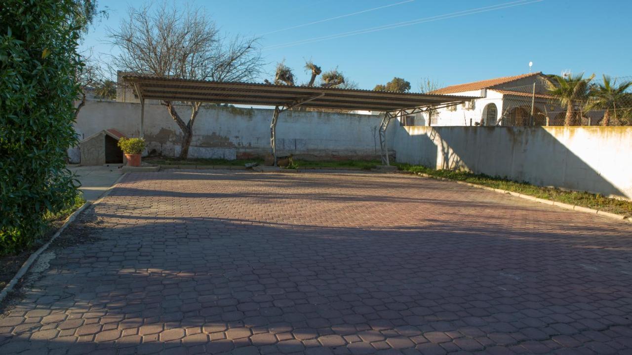 Estudio Adosado Con Jardin Y Parking Privado Alicante Luaran gambar