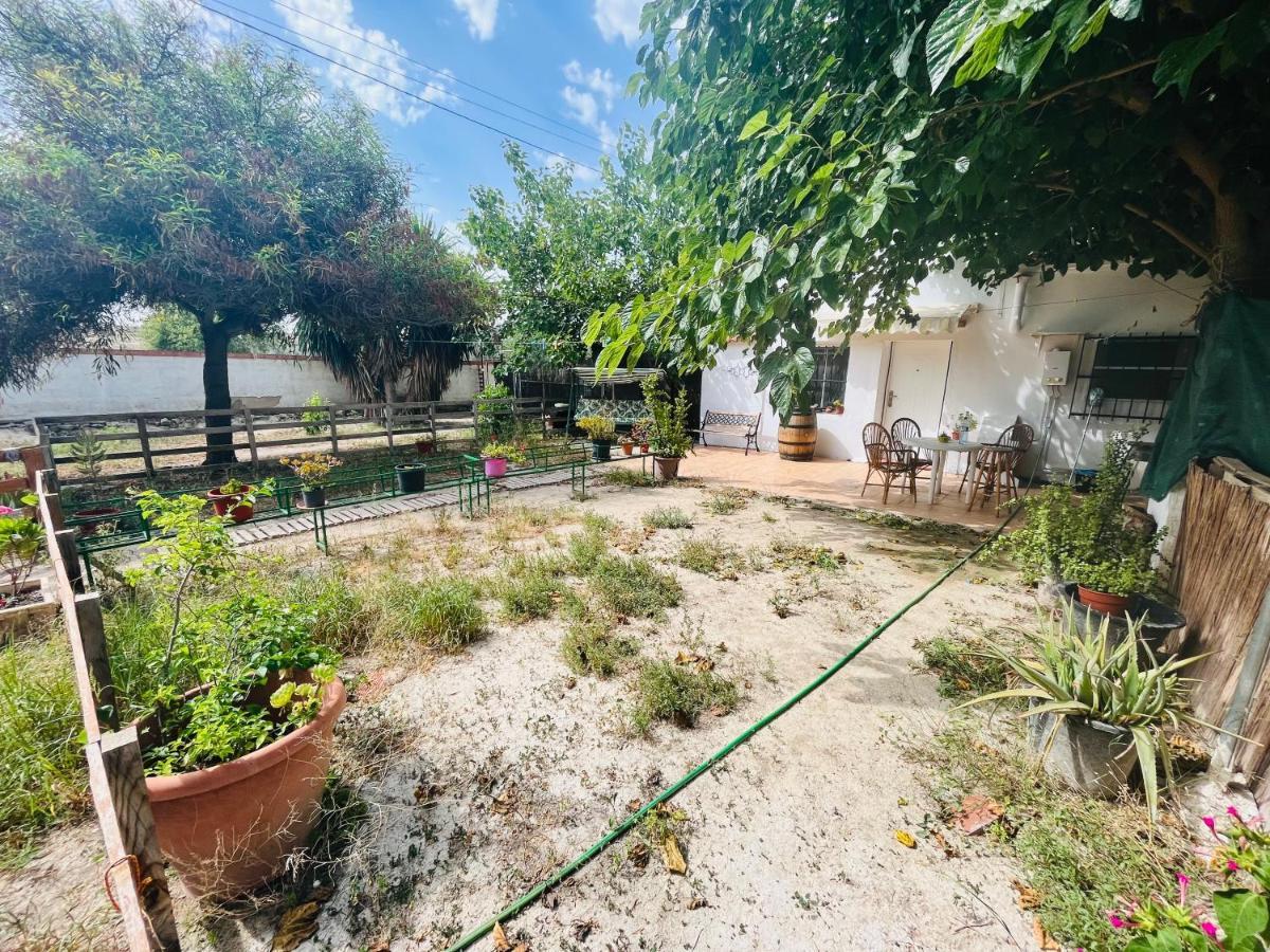 Estudio Adosado Con Jardin Y Parking Privado Alicante Luaran gambar